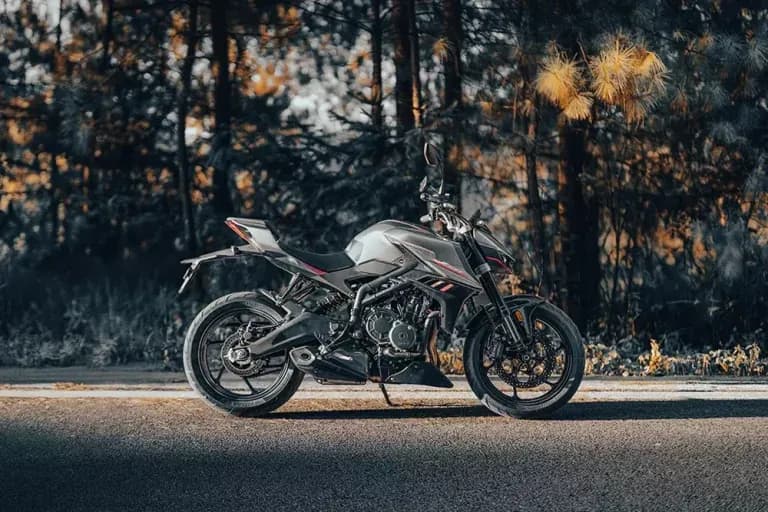 Motocicleta KOVE naked gris oscuro con detalles rosados, de perfil al borde de una carretera, con un bosque de pinos otoñal al fondo